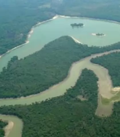 Navegaci�n por afluentes del Amazonas entre bosques inundables y palmerales.