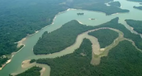Navegaci�n por afluentes del Amazonas entre bosques inundables y palmerales.