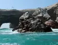 Vista de la Reserva Nacional de Paracas con sus playas, fauna y el geoglifo del Candelabro