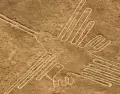 Geoglifo del colibr� en las pampas de Nasca, uno de los s�mbolos m�s reconocidos de las L�neas.