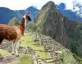 El turismo crece en Per�
