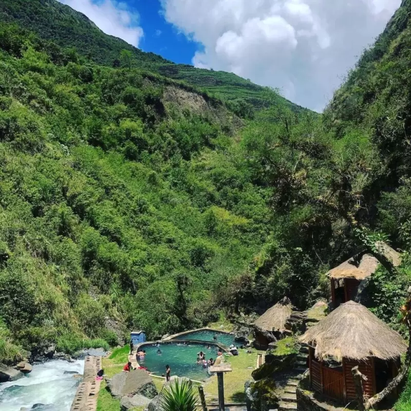 Zona abierta con piscina al aire libre, rodeada de vegetación; perfecta para transmitir sensación de relajación natural.