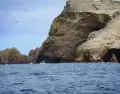 Lobos marinos y aves guaneras en las Islas Ballestas, frente a la costa de Paracas