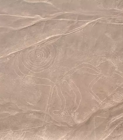 Vista a�rea del famoso geoglifo del mono, uno de los trazos m�s ic�nicos de la cultura Nasca.