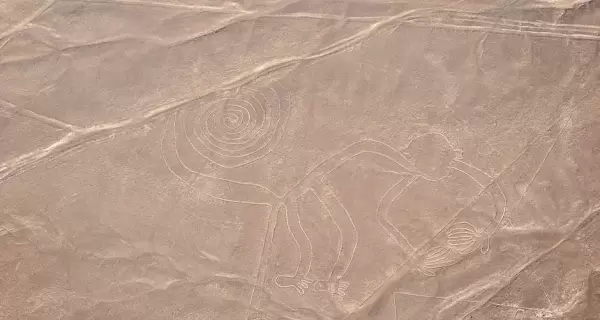 Vista a�rea del famoso geoglifo del mono, uno de los trazos m�s ic�nicos de la cultura Nasca.