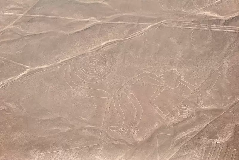 ista aérea del famoso geoglifo del mono, uno de los trazos más icónicos de la cultura Nasca.