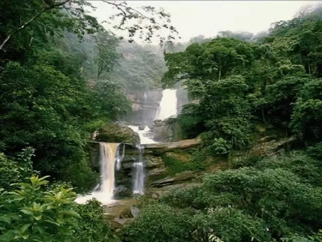 Detalle del salto y su entorno selvático, con orquídeas, bromelias y helechos propios de la Selva Alta