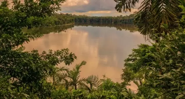 Vista del Lago Sandoval reflejando el verde vibrante de la selva y un cielo sereno al amanecer o atardecer.