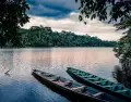 Vegetaci�n selv�tica alrededor del Lago Valencia, Tambopata