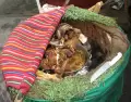 La gastronom�a peruana presenta sabores diversos y emblem�ticos que representan a la costa, la sierra y la selva.