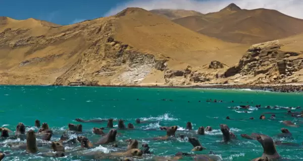 Paracas combina playas naturales, fauna marina y rutas esc�nicas en uno de los paisajes costeros m�s impactantes del Per�.