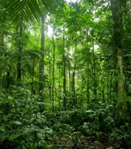 Lamas combina cultura viva y naturaleza amaz�nica en uno de los destinos m�s aut�nticos de la Selva Alta.