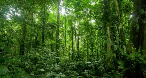 Lamas combina cultura viva y naturaleza amaz�nica en uno de los destinos m�s aut�nticos de la Selva Alta.