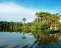 Tambopata concentra una de las mayores biodiversidades del planeta y experiencias de selva en estado puro.