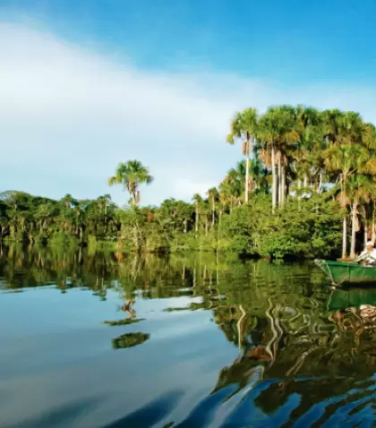 Tambopata concentra una de las mayores biodiversidades del planeta y experiencias de selva en estado puro.
