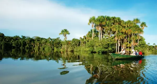 Tambopata concentra una de las mayores biodiversidades del planeta y experiencias de selva en estado puro.