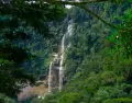 Tarapoto es una de las principales puertas de entrada a la Selva Alta, con cascadas y naturaleza accesible.