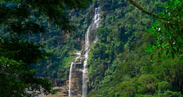 Tarapoto es una de las principales puertas de entrada a la Selva Alta, con cascadas y naturaleza accesible.