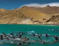 Paracas combina playas, rutas esc�nicas y biodiversidad en uno de los paisajes costeros m�s impactantes del Per�.