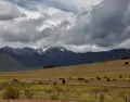 Pisac y el Valle Sagrado combinan arqueolog�a, cultura viva y algunos de los paisajes m�s emblem�ticos del Cusco.