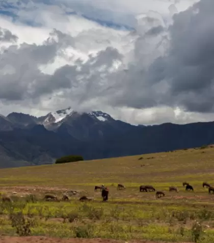 Pisac y el Valle Sagrado combinan arqueolog�a, cultura viva y algunos de los paisajes m�s emblem�ticos del Cusco.