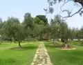 Bosque El Olivar, con senderos y olivos inolvidables, en San Isidro.