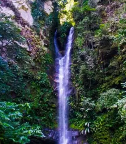 Catarata de Ahuashiyacu en Tarapoto, Per�