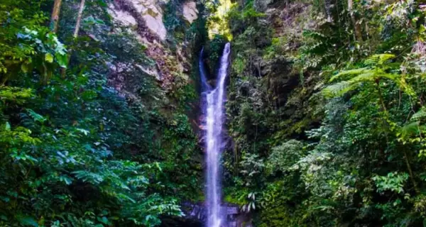 Catarata de Ahuashiyacu en Tarapoto, Per�