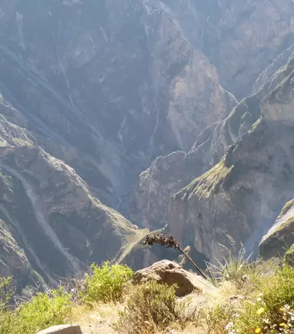 Mirador Cruz del C�ndor, el punto m�s famoso del Ca��n del Colca para observar el vuelo del c�ndor andino en horas tempranas.