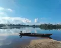 Bosque tropical en la Amazon�a peruana, ecosistema caracter�stico de la Selva Baja.