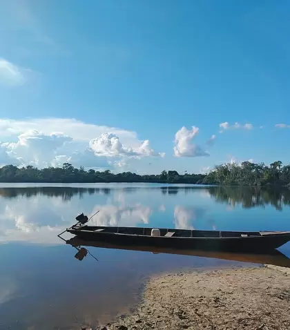 Bosque tropical en la Amazon�a peruana, ecosistema caracter�stico de la Selva Baja.