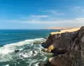 La costa de Paracas, parte del litoral del Pac�fico peruano donde cada a�o migran numerosas especies de fauna marina.