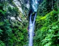 La Catarata de Ahuashiyacu, rodeada de vegetaci�n en la Selva Alta peruana.