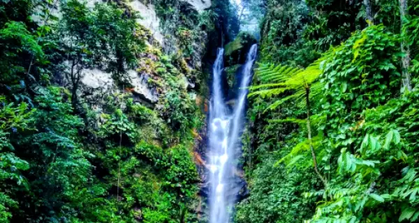 La Catarata de Ahuashiyacu, rodeada de vegetaci�n en la Selva Alta peruana.