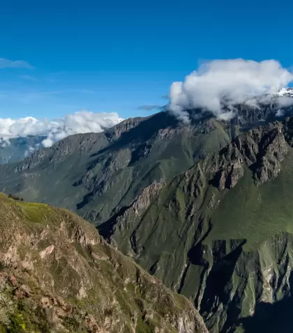 Vista panor�mica del Ca��n del Colca.