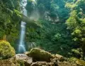 Catarata rodeada de vegetaci�n densa en Rioja con agua abundante en temporada de lluvias.