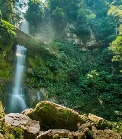 Catarata rodeada de vegetaci�n densa en Rioja con agua abundante en temporada de lluvias.