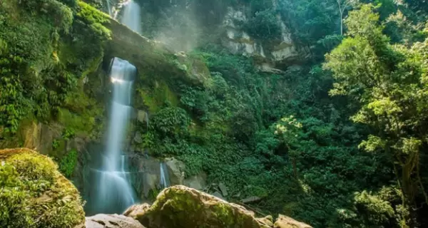 Catarata rodeada de vegetaci�n densa en Rioja con agua abundante en temporada de lluvias.