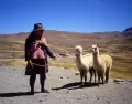 Cultura viva en la selva: tradiciones que se mantienen en la vida cotidiana de Lamas.