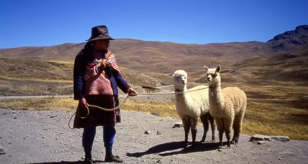 Cultura viva en la selva: tradiciones que se mantienen en la vida cotidiana de Lamas.