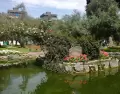 Estanque en el Parque El Olivar en San Isidro.