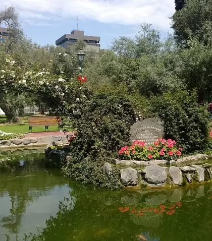 Estanque en el Parque El Olivar en San Isidro.