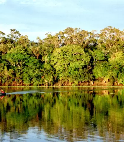 Selva amaz�nica en abril: lluvias breves, r�os llenos y naturaleza en su m�ximo esplendor.