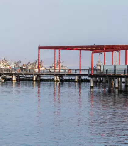 El puerto de Paracas, punto de partida hacia Islas Ballestas y la Reserva Nacional.