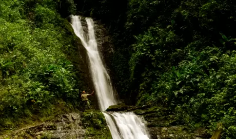 Cascada en la Selva Alta peruana rodeada de naturaleza y bosque h�medo.