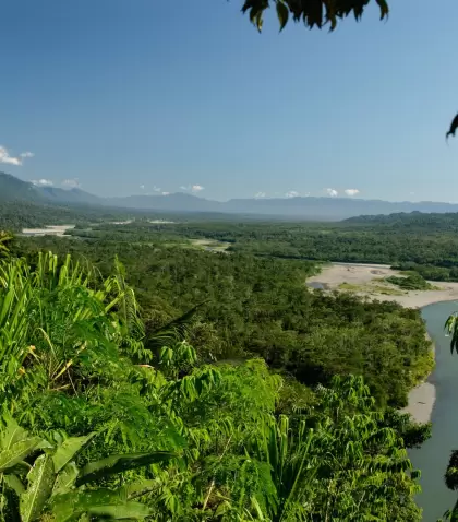 Parque Manu: la selva m�s intensa de Per� empieza mucho antes de llegar.