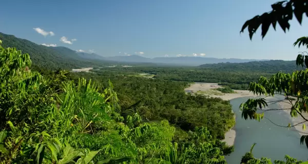 Parque Manu: la selva m�s intensa de Per� empieza mucho antes de llegar.
