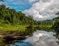 Los mejores tours al Manu priorizan selva real, tiempo y buenos gu�as.