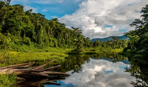 Los mejores tours al Manu priorizan selva real, tiempo y buenos gu�as.