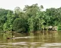 Una casa amaz�nica entre la vegetaci�n muestra la selva m�s aut�ntica y viva.